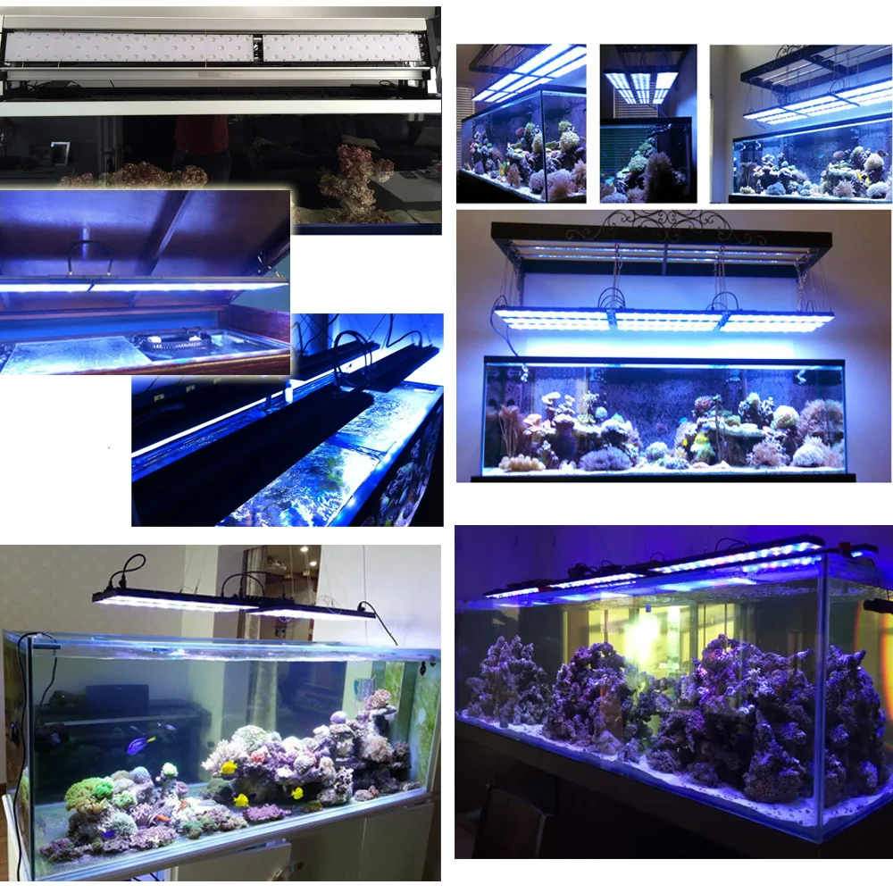 T5T5 Led Aquarium Tubes 12000k Suppliers kXZuPi