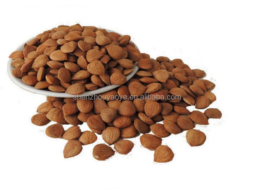 
Bulk Organic Chinese Bitter Apricot Kernels for cancer treatment with B17 