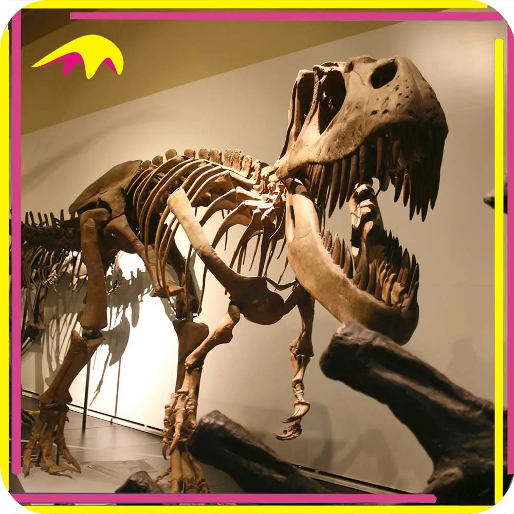 kano0198 侏罗纪生命大小复制恐龙骨头待售