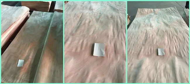 AB Grade Rotary Cut Natural PLB Wood Face Veneer For Plywood