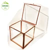 ~~~ usage endless - Brass Glass Box - Etched Glass Vanity Box - Sectioned Jewelry Storage - glass 11x11 clothing storage box