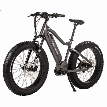 e raptor electric bike