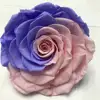 Competitive price hot sale long lasting preserved eternal rose head stabilized