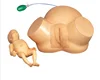 Simulator for Dystocia Teaching Training