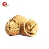 TTN Wholesale Buy Shelled Walnuts For Sell