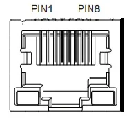 DBLS-06-S PIN.jpg