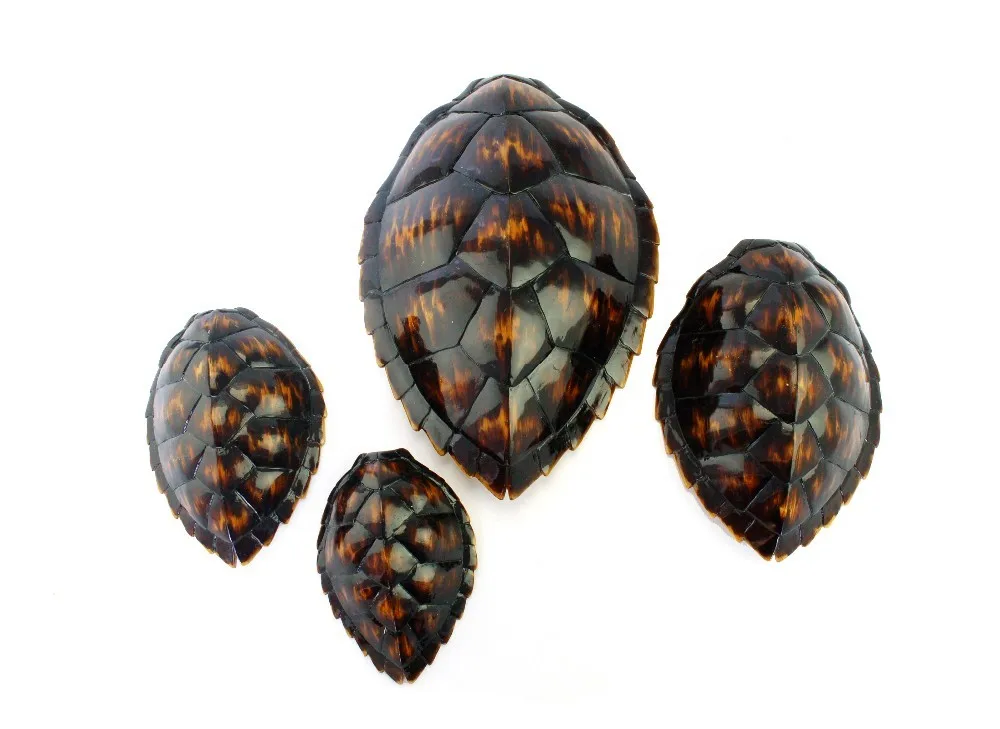 Resin Turtle Shell Sculpture Model Home Decor Creative Gifts details