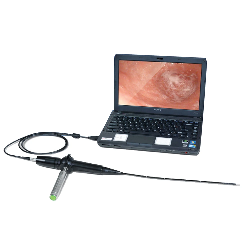 Small Animal Portable Veterinary Endoscope Usb Buy Endoscope