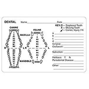 Buy AVDC Canine and Feline Dental Record Charts in Cheap Price on ...