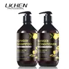 Logo Custom Rich Regrowth Essence Hair Shampoo And Conditioner Set For Thinning and Losing Hair Problem