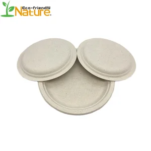10 Inch Competitive Price Biodegradable Disposable Wheat Straw Round Plates for USA Market