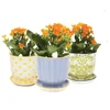 /product-detail/modern-large-porcelain-garden-flower-planter-pot-with-saucer-62007619435.html
