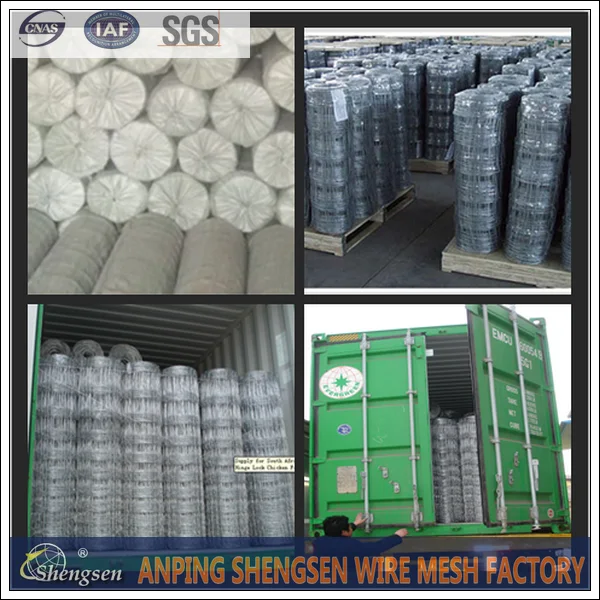 HTB1dAYAJpXXXXc2XFXX760XFXXXh