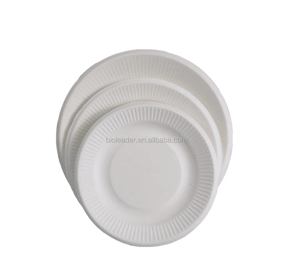 

Biodegradable food fruit dinner plate