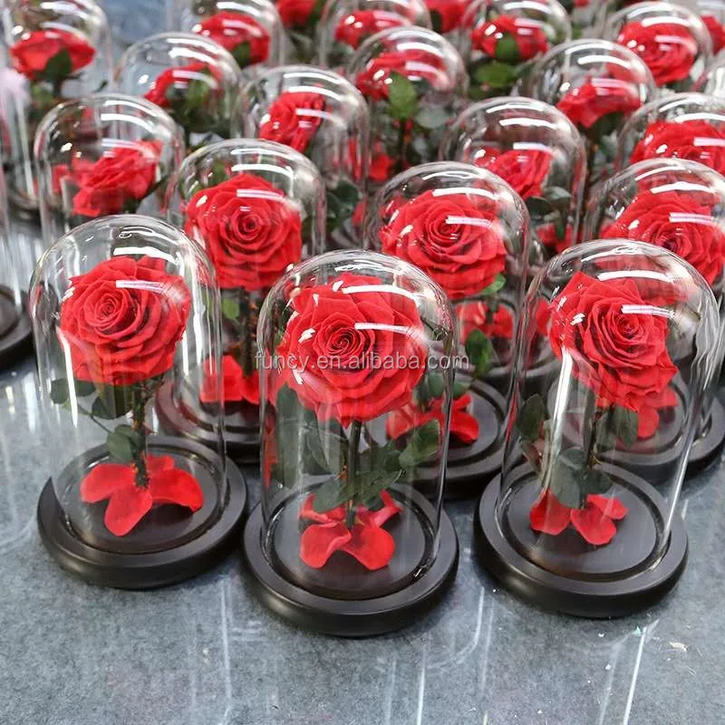 Plastic Roses Stems Preserved Roses Arrangement Soft Touch Natural