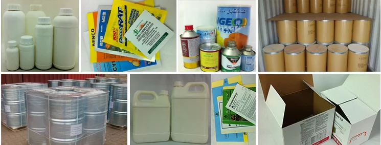 paste-pic-dp_uuid_s8wiy