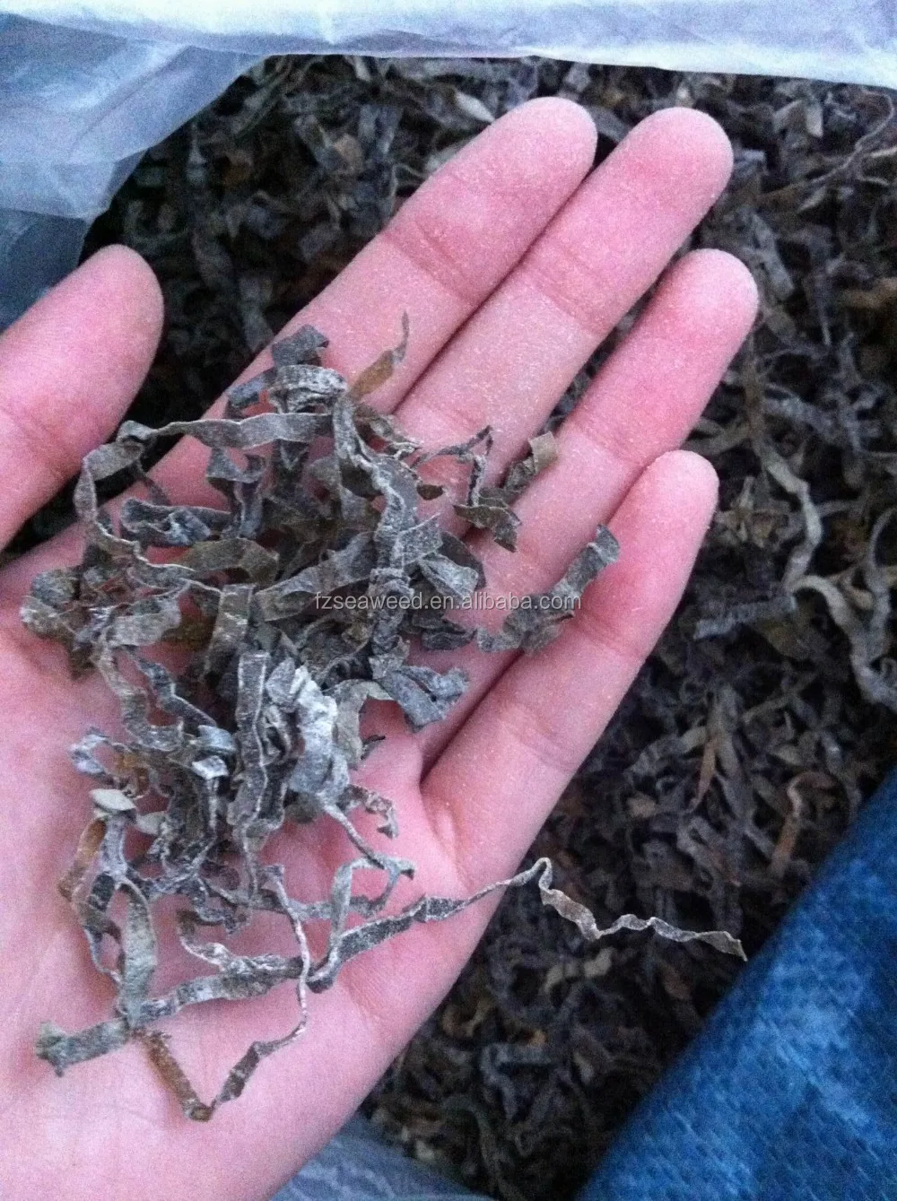 Chinese Dried Kelp Flakes For Aiding Food Digestion Buy Kelp Seaweed