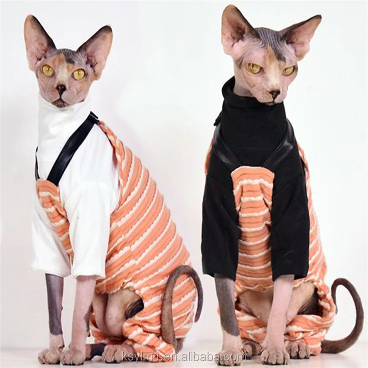 sphynx hoodie