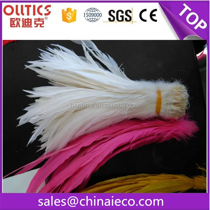 chicken feather2.jpg