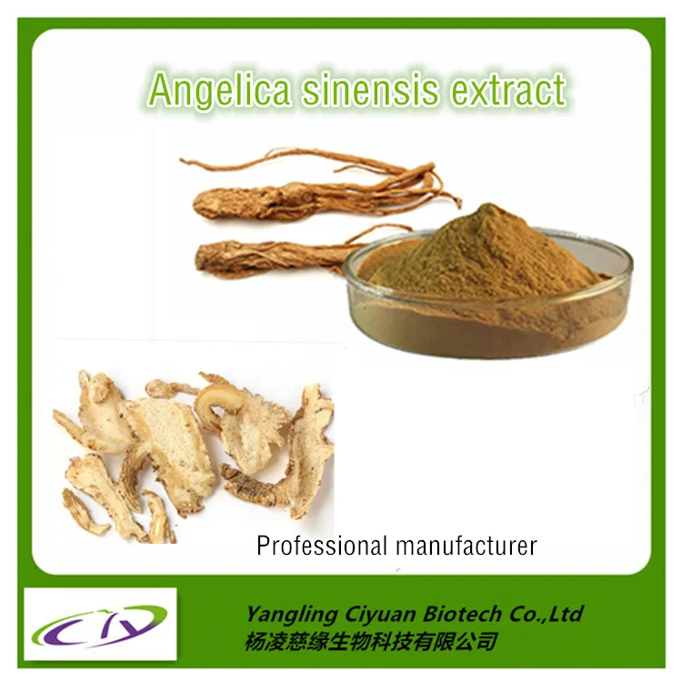 Women Health Care Chinese Herbal Extract Angelica Archangelica Root 