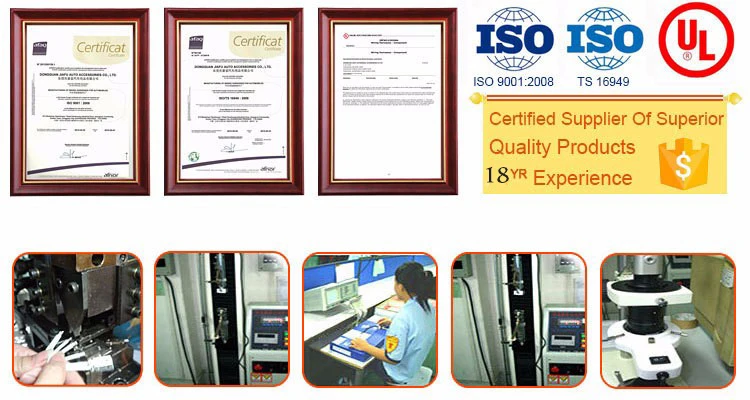 Certification.jpg