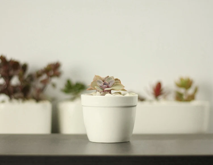 Windowsill Adornment Hexagon White Ceramic Indoor Pots For Succulent