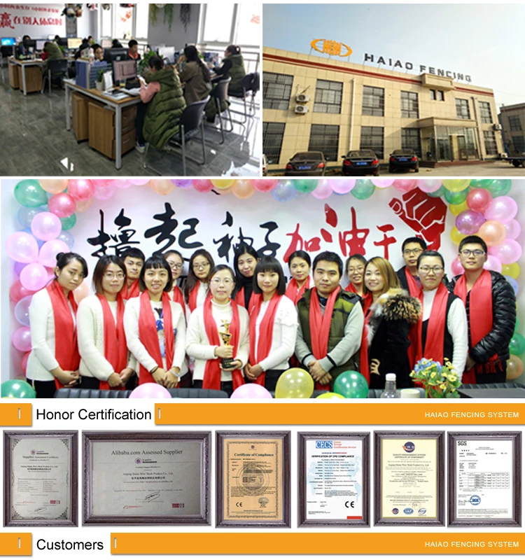 Black chain link fence 07.jpg