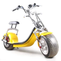 

Holland warehouse EEC 1200w seev citycoco,big wheel electric scooter 1000w