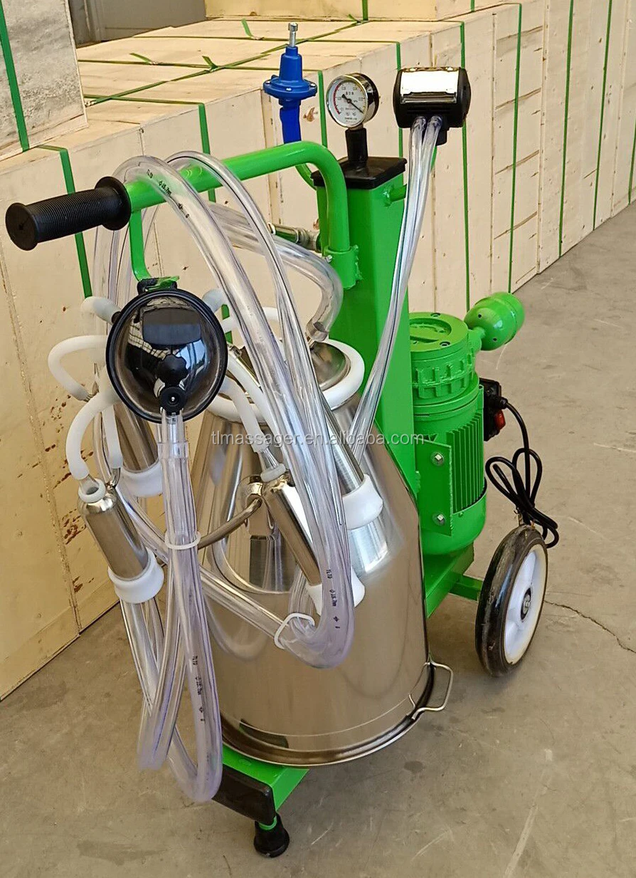 QQ20190705144931.jpg