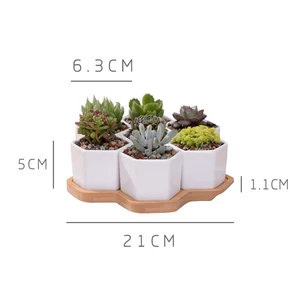 Image of 2 Inch Ceramic White Mini Square Succulent Plant Pot/Cactus Plant Pot with Free Bamboo Tray Package