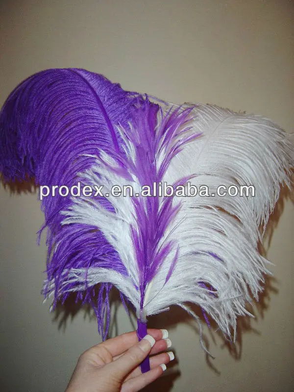 used ostrich feathers