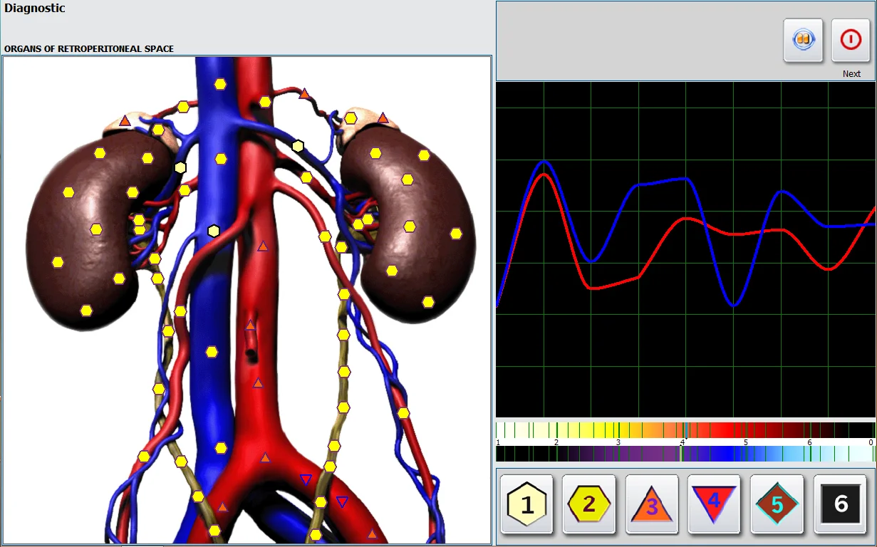 2021 Latest Professional 2 in 1 Touch Screen Metatron NLS Metapathia GR Hunter 4025