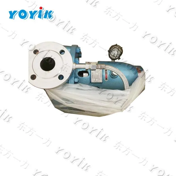 Finely processed DEC spare parts YCZ65-250A stator cooling water pump