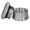 Weld-In Cap and Bung Assemblies PN6550