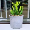 BN1017 Not coated flower planter pot indoor and outdoor flower pots garden for sale
