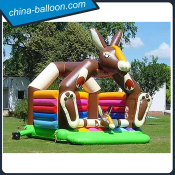 bouncing donkey