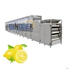 Industrial Fruit Dehydrator/Mango Garlic Carrot Dryer/Vegetable Drying Machine