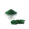 Qingdao Factory Spirulina Powder High Protein Content Spirulina