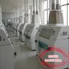 HDF 50TPD wheat flour mills/wheat roller mill/wheat flour machine