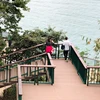 Outdoor home and garden patio easy installation customized size composite wood wpc railing