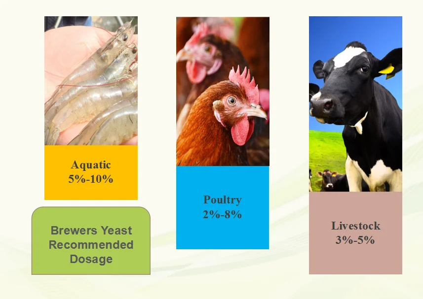 brewers yeast dosage