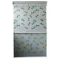 China manufacturer manual sunscreen blackout window double roller blind for hotel