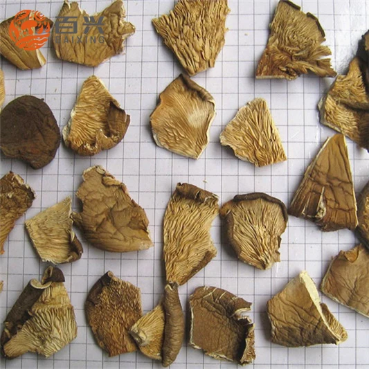 
Fresh dried oyster mushroom 1kg price 