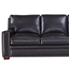Living room sofa