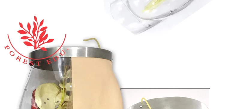 9 Injection model.jpg