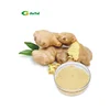 Ground Ginger Powder Ginger Powder Buyers Dry Ginger Powder