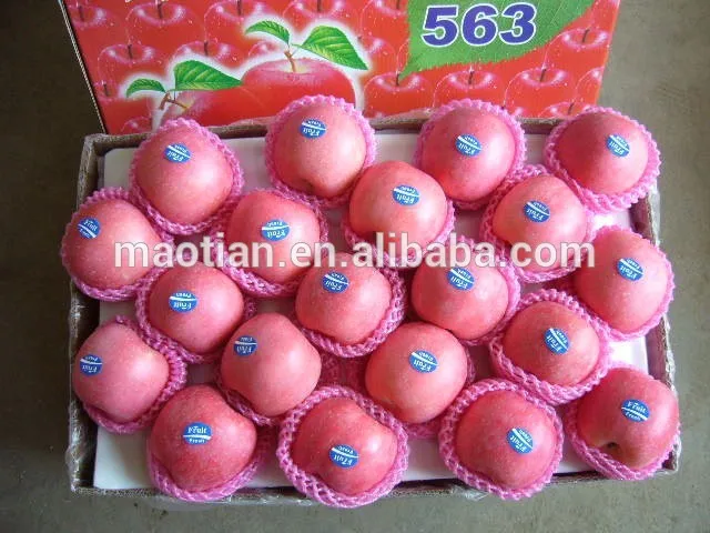 
Sell Shandong Produced Fresh Fuji Apples 
