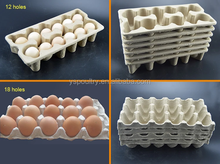 Commercial Egg Tray (2)