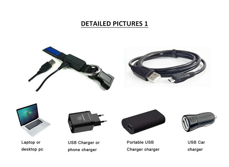 Tops Pet Accessories Products Personalized Rechargeable Glowed In The