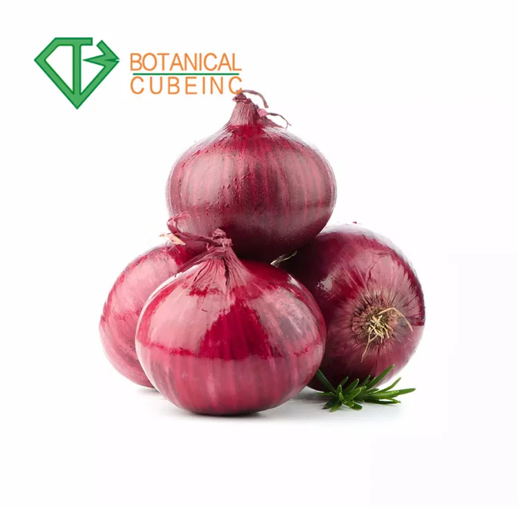 New Design Quercetin Onion Extract Powder,High Quality Red Onion Peel